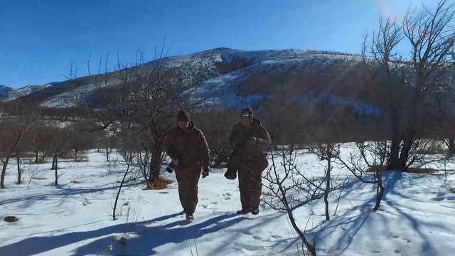 В поисках горного архара смотреть онлайн