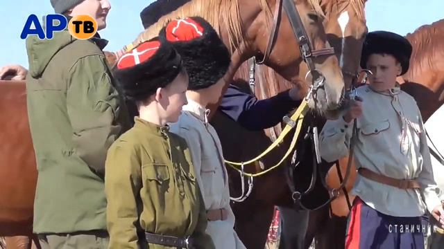 Батька Дон! смотреть онлайн