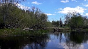 Река "Дымовка" 2020