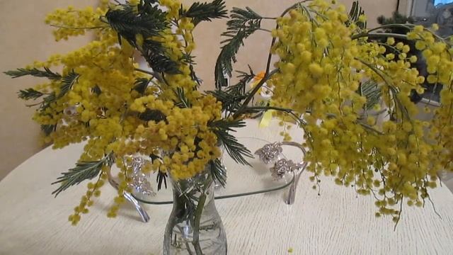 Мимоза цветёт....весна. смотреть онлайн