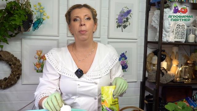 Сухие пятна на листьях баклажана! Как этого избежать смотреть онлайн