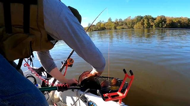 Catching BIG Catfish in TINY Boat - tips and tactics to catch more catfish смотреть онлайн