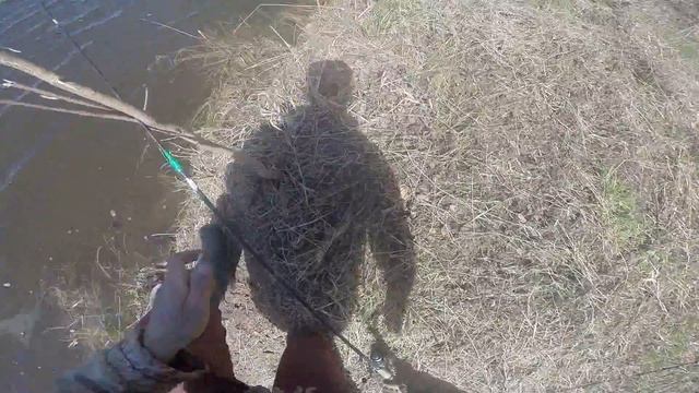 Ловля плотвы на красного червяка, видео Rybachil.ru