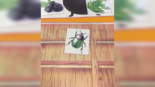 Логопедическая игра «У ведьмы». Дифференциация свистящих и шипящих звуков в словах. смотреть онлайн