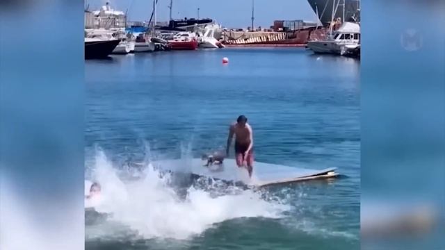 ESTRADARADA - Вечный Август (Эстрадарада)