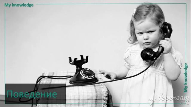 Оценка эффективности обучения. Модель «Дональда Киркпатрика» смотреть онлайн