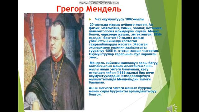 Биология 10-класс смотреть онлайн