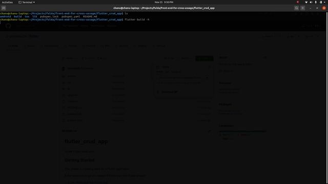 Flutter application build and deployment to APK and iOS смотреть онлайн