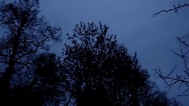 Ночная серенада смотреть онлайн