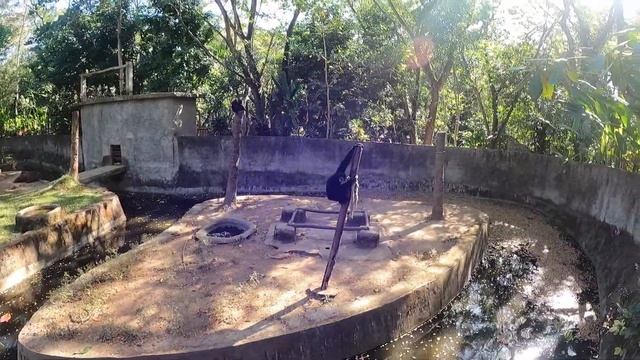 LOMBOK Wildlife Park - Is it worth it? ? | TRAVEL VLOG #11 | Senggigi, Setangi Beach ? смотреть онлайн