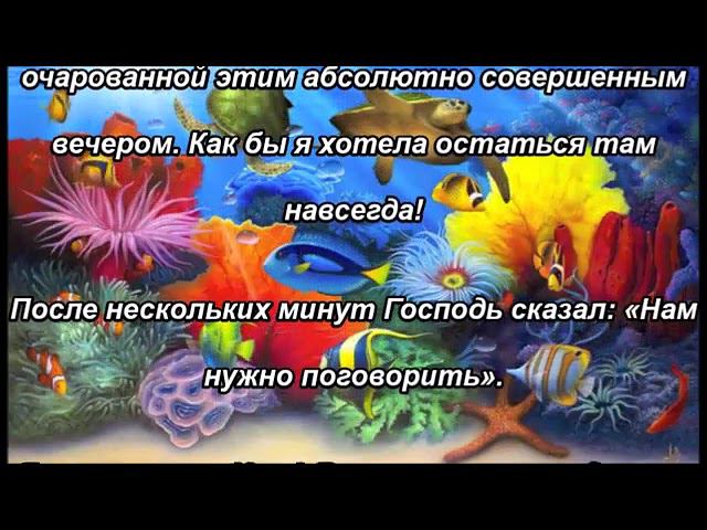 Медовый месяц