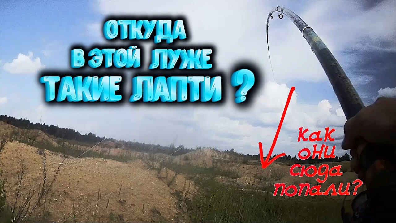 Откуда в этой луже такие ЛАПТИ? Как они туда попали? смотреть онлайн