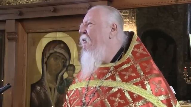 о трезвости , совести и созависимости - протоиерей Димитрий Смирнов смотреть онлайн