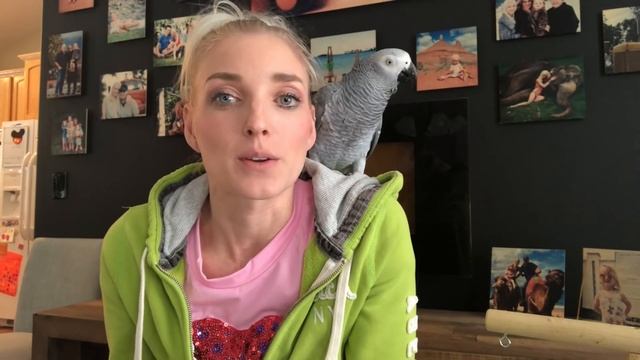 Starter Birds | WHAT'S A GOOD FIRST BIRD? WHAT BIRD SHOULD YOU GET? смотреть онлайн