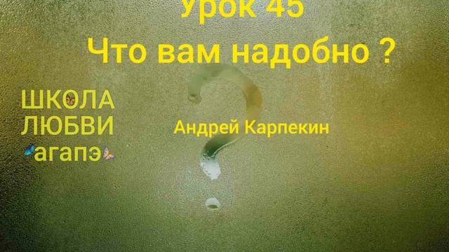 45. Что вам надобно ? Школа Любви Агапэ. смотреть онлайн