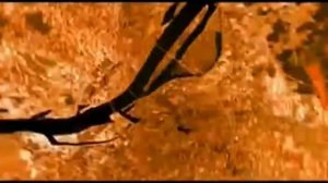 Тайны мира.Выпуск 1