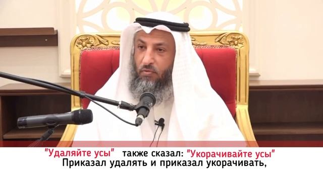 Усы. Подстригать или брить? смотреть онлайн