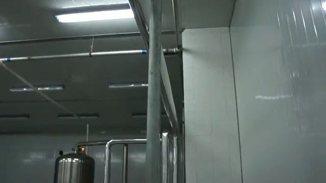 vacuum fryer for fruit and vegetable chips смотреть онлайн