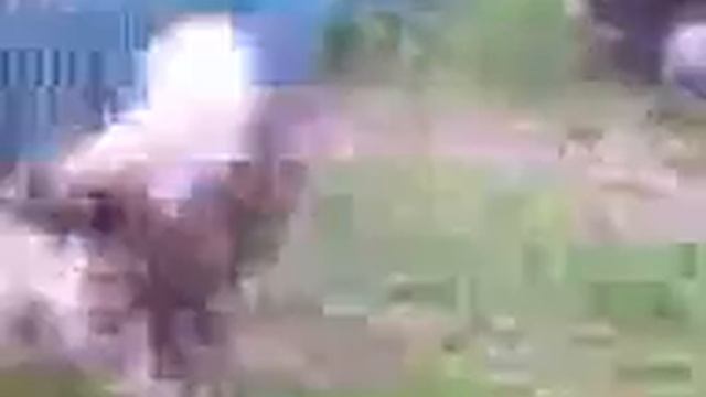 Собака друг человека смотреть онлайн