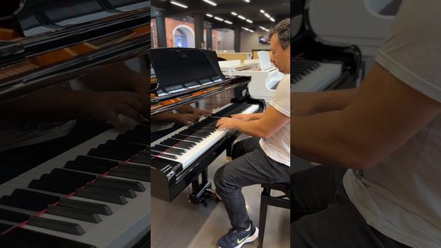 Слушая рояль Ritmuller в умелых руках Музыканта улетаешь на другую планету смотреть онлайн