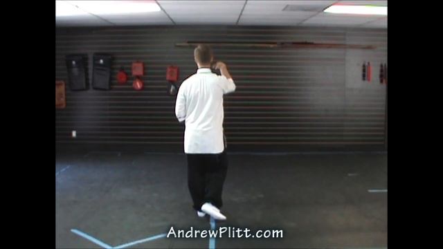 (73/93) Yang Tai Chi 108 Form: Snake Creeps Down ~ Right (Yang Shi Taijiquan)  #Taiji