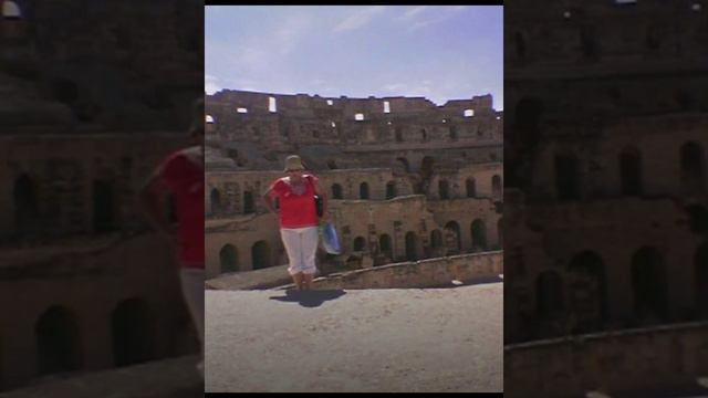 Когда деревья были большими🌴🌴🌲🌳🎄🌵🪴 смотреть онлайн