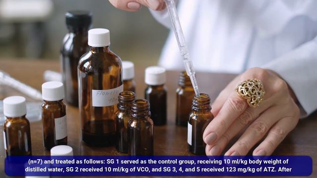 Determination of AtrazineStreptozotocin Induced Oxidative Stress and Mitigating Effect of Virgin смотреть онлайн