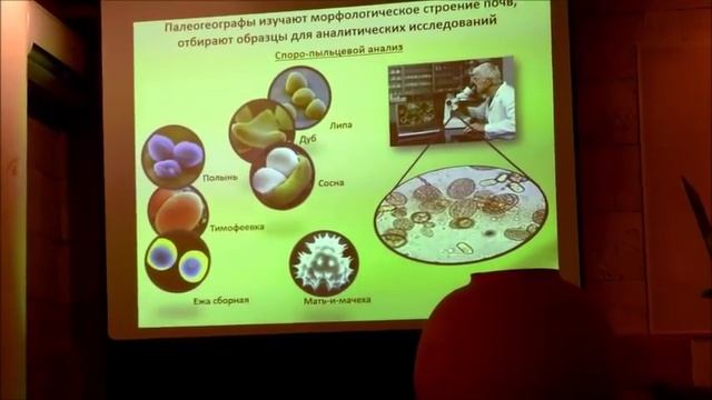 лекция «Восстановление исторического ландшафта Куликова поля» смотреть онлайн