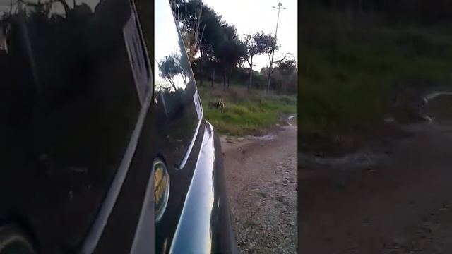 Xpedition Team - Freelander 1 - Cam test 4 смотреть онлайн
