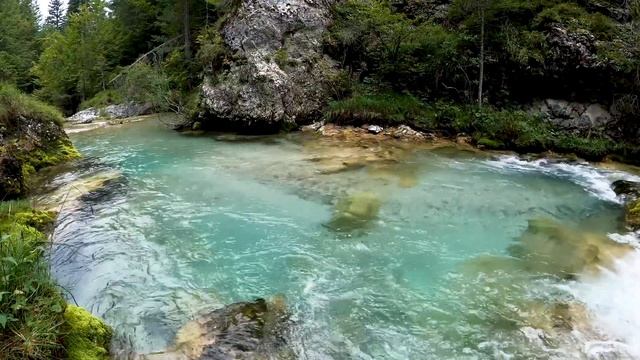 Река в лесу   4K