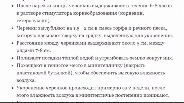 Крыжовник – северный виноград. Посадка и уход в саду. смотреть онлайн