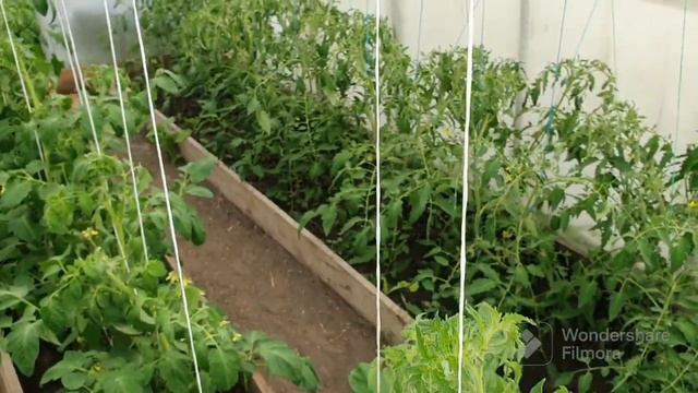 154. Что-то пошло не так как обычно. Сбой в МАТРИЦЕ. смотреть онлайн