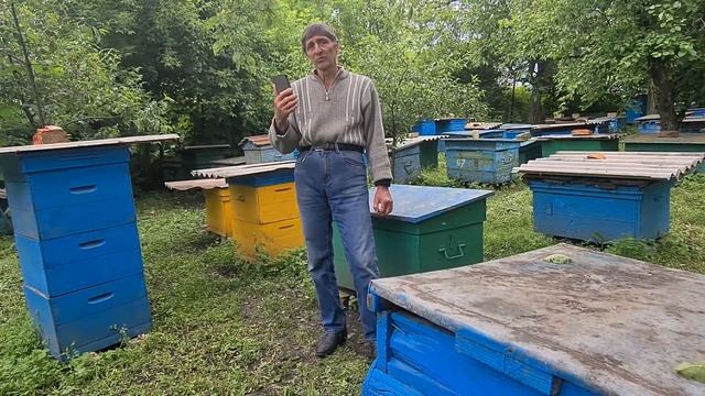 Роение пчел. Как не допустить массовое роение пчел/Первые признаки смотреть онлайн