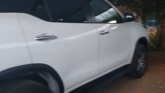 ЮАР 🌲БЛУМФОНТЕЙН🐂🐃🐄