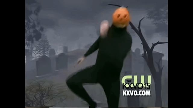 Корова танцует под польскую музыку(танцующая тыква).4k Ultra HD смотреть онлайн