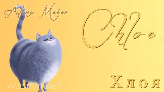 ГЕРОИ Тайная жизнь домашних животных В РЕАЛЬНОЙ ЖИЗНИ смотреть онлайн