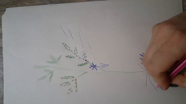 Почему использование химии в саду бессмысленно и вредно? смотреть онлайн