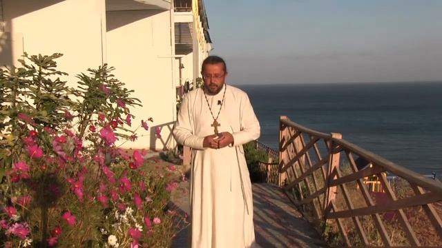 Какие молитвы читать в разных случаях. Священник Игорь Сильченков смотреть онлайн