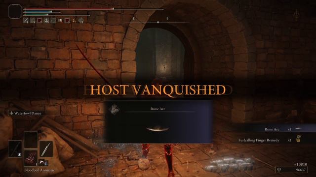 Absolute Best Dex Build In Elden Ring  |  Griffith Build (PvP)