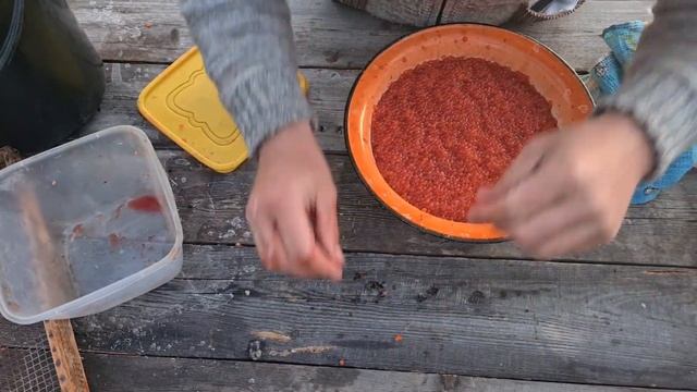 Учебник по Творчеству