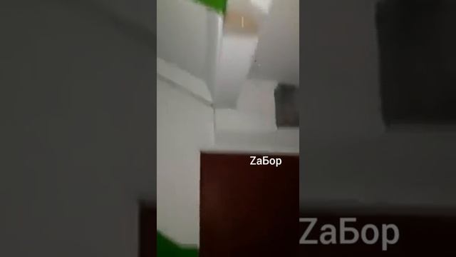 В Запорожье во время ливня затопило подъезд смотреть онлайн