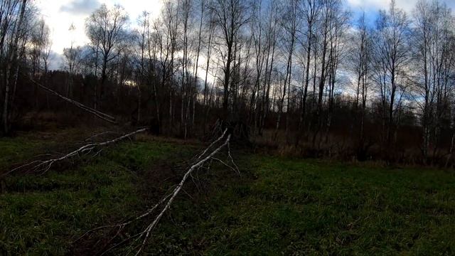 ст.Шевелёво - Семиозерье - Лужки - ст.Гаврилово 17 ноября 2018 смотреть онлайн