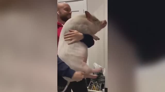 Когда выпил бабушкины таблетки, Подарок продавцам, Ты задрал - Нормально я готовлю смотреть онлайн