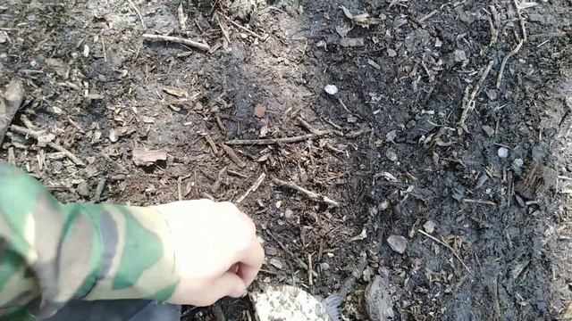 Рыбалка на Кадамовском пруду!!! Ловля карася, сазана и леща на фидер!!! смотреть онлайн