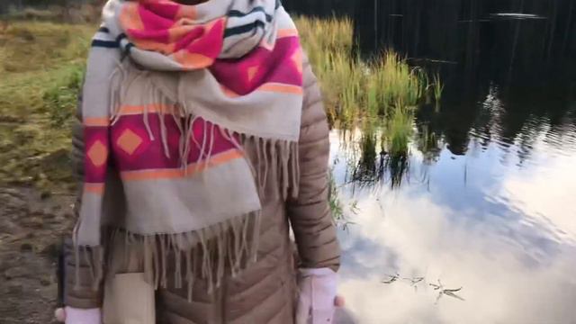 гуляем по лесу с волком, мечтая о своём доме. долгожданная посылка и прекрасный закат. смотреть онлайн