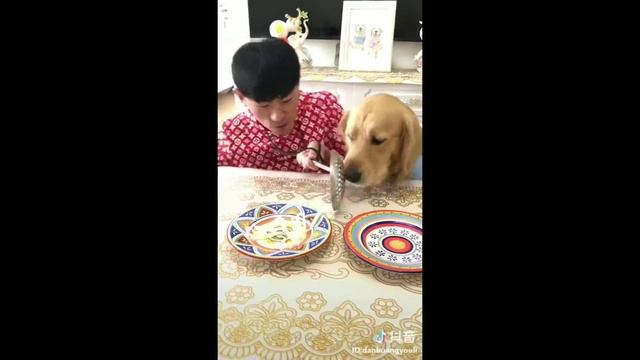 "Макароны" РЖАК ПОЛНЫЙ! 😜😂🐈👍🏻 смотреть онлайн