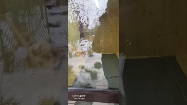 Обзор самой УДОБНОЙ Бани "Классика" от Domobereg смотреть онлайн