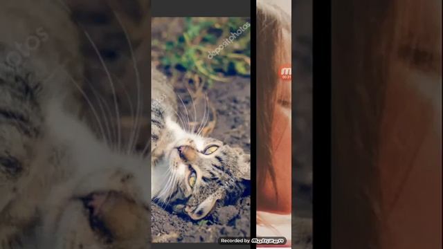 Мой стих про кота для канала #Шмодзик Федя и Кнопочка П♡ смотреть онлайн