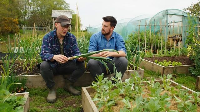 Почему Вы Должны Собирать Чеснок В Мае смотреть онлайн