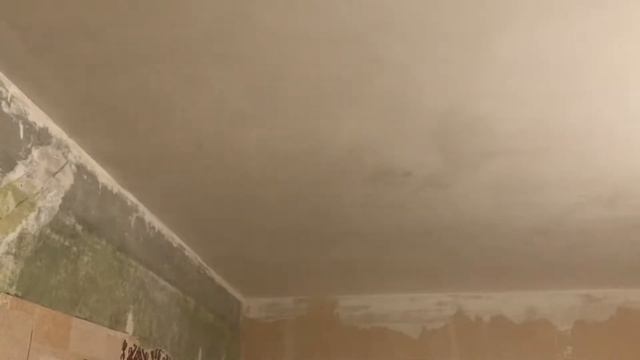 Подготовка потолка к покраске. #грунтовка #штукатурка #шпаклевка #покраска #потолок #матовыйпотоло смотреть онлайн